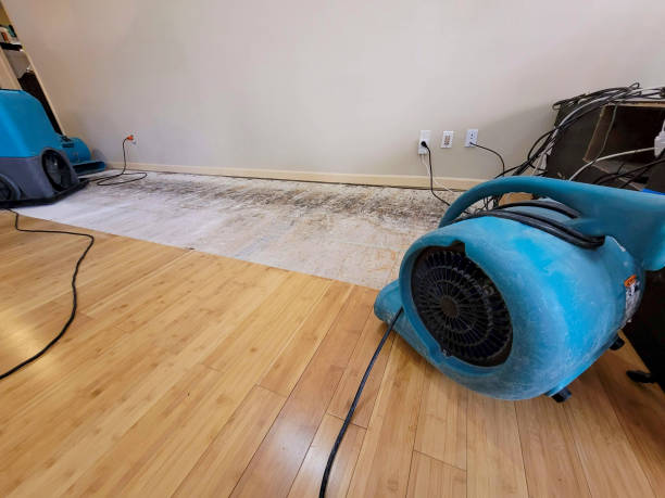 Professional Water Damage Repair technician working in Fayetteville, OH